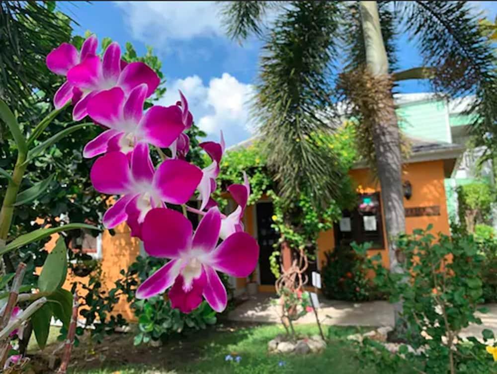 Buccaneer Beach Club Dickenson Bay Exterior foto