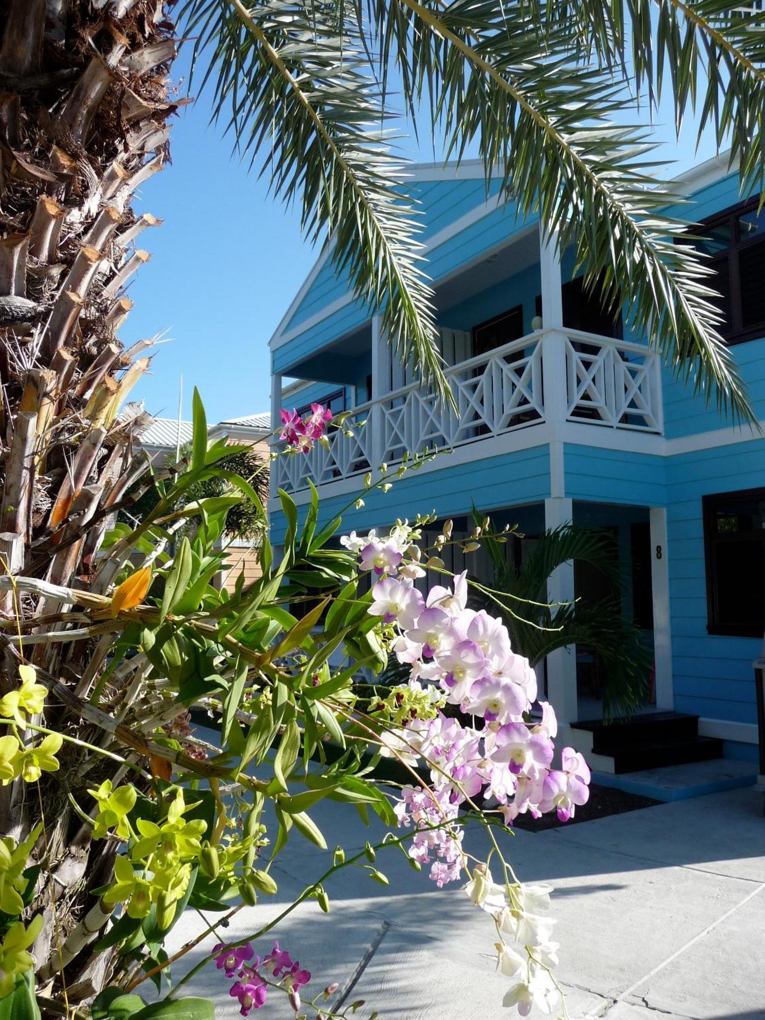 Buccaneer Beach Club Dickenson Bay Exterior foto