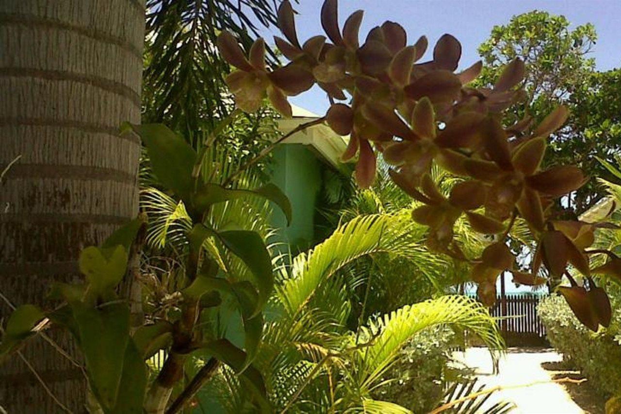 Buccaneer Beach Club Dickenson Bay Exterior foto