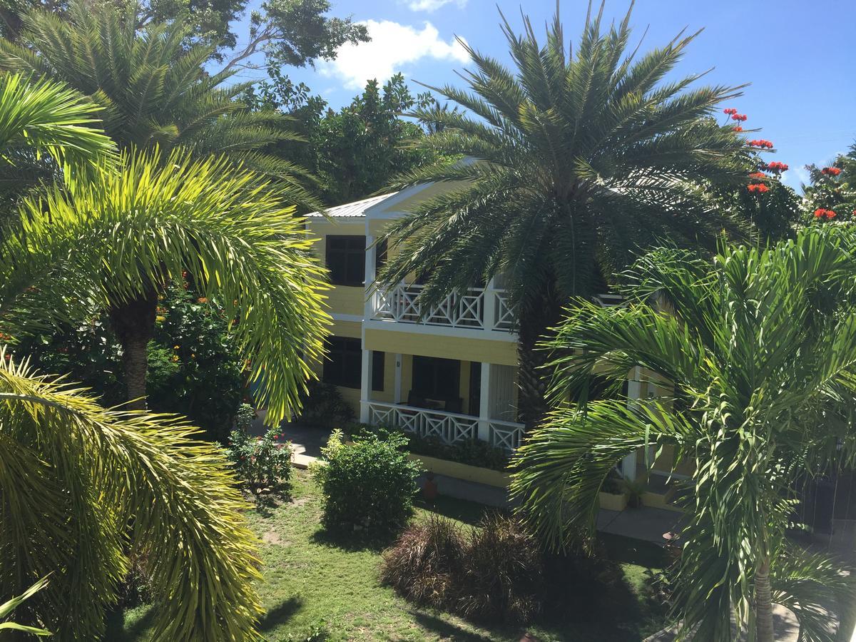 Buccaneer Beach Club Dickenson Bay Exterior foto