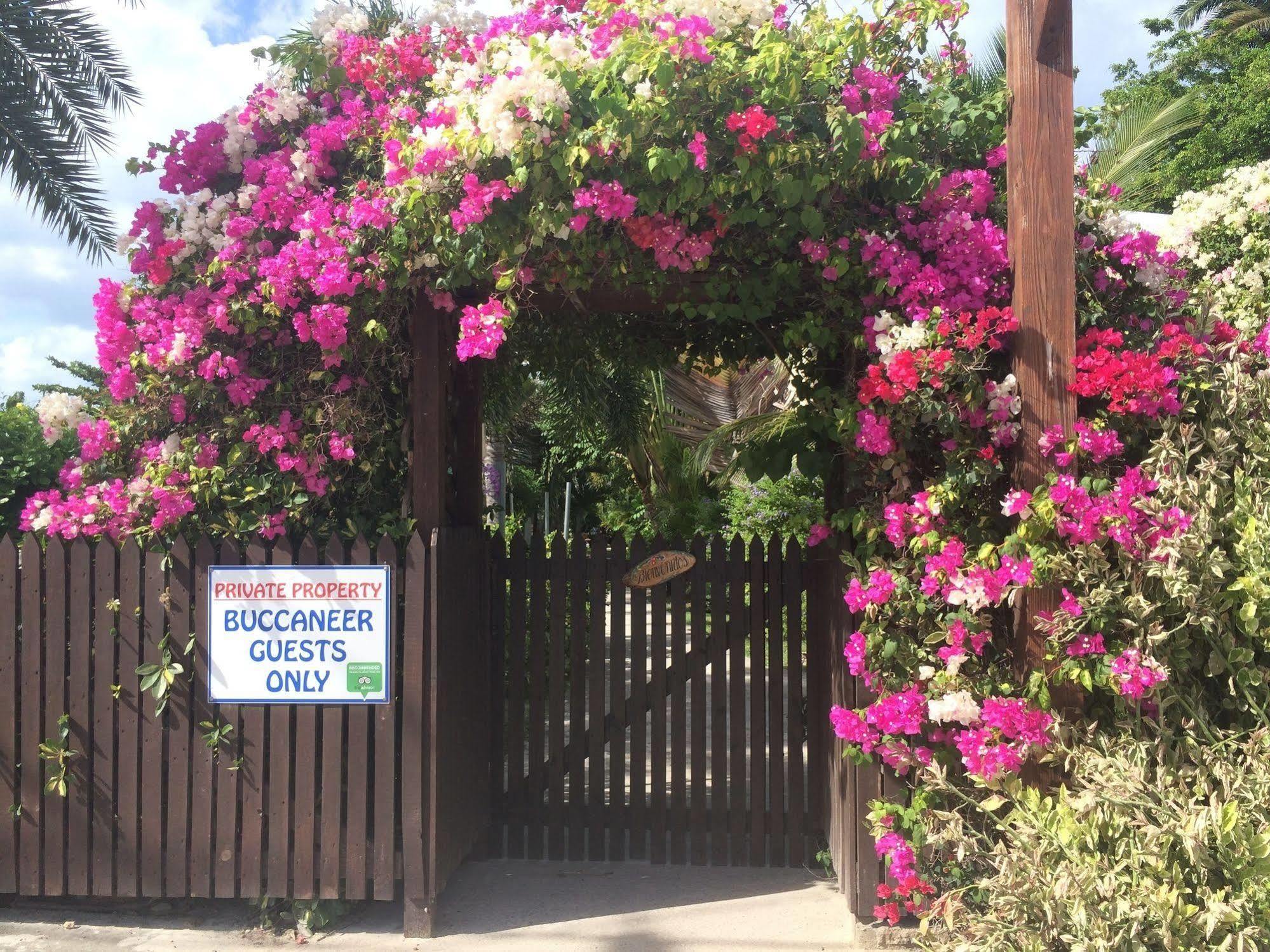 Buccaneer Beach Club Dickenson Bay Exterior foto