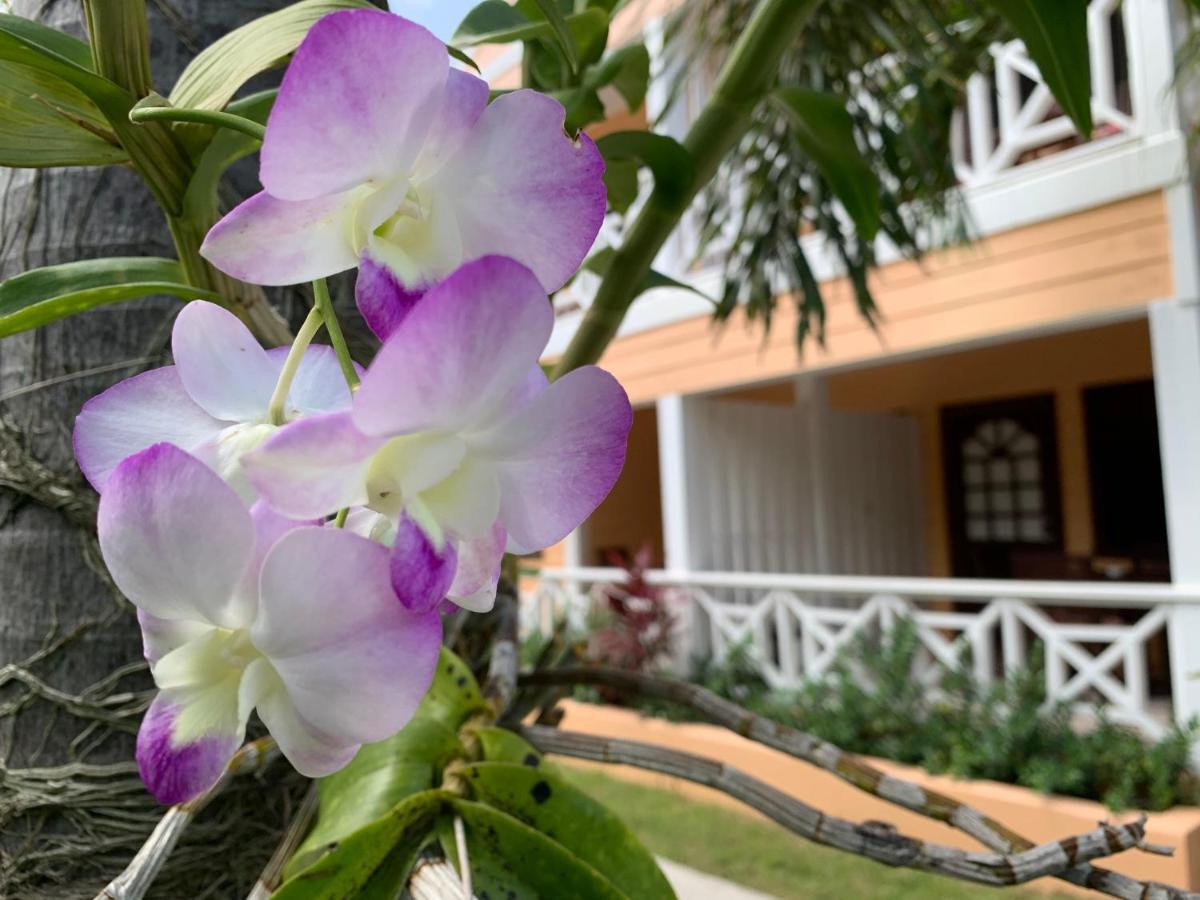 Buccaneer Beach Club Dickenson Bay Exterior foto